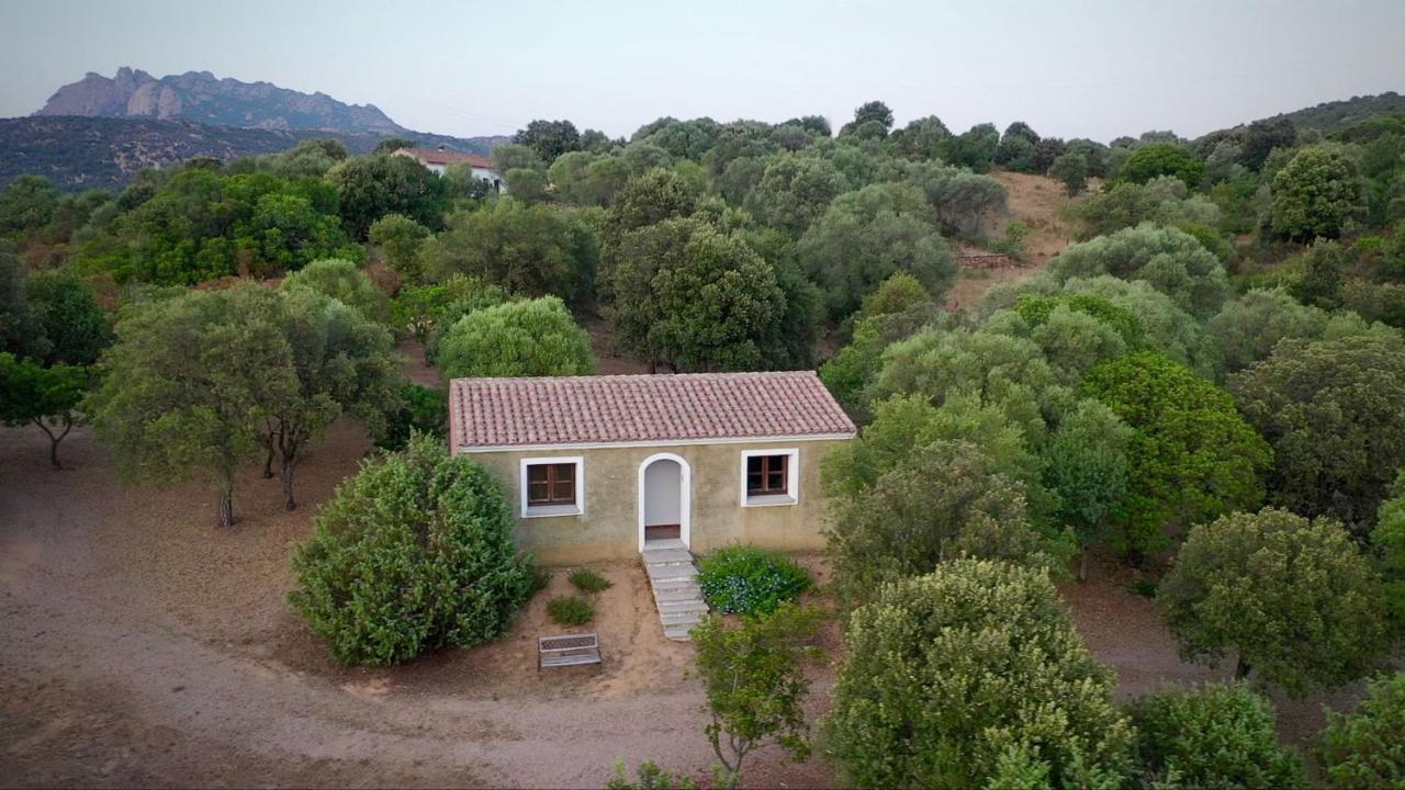 Li Paduleddi Country Guest House 올비아 외부 사진
